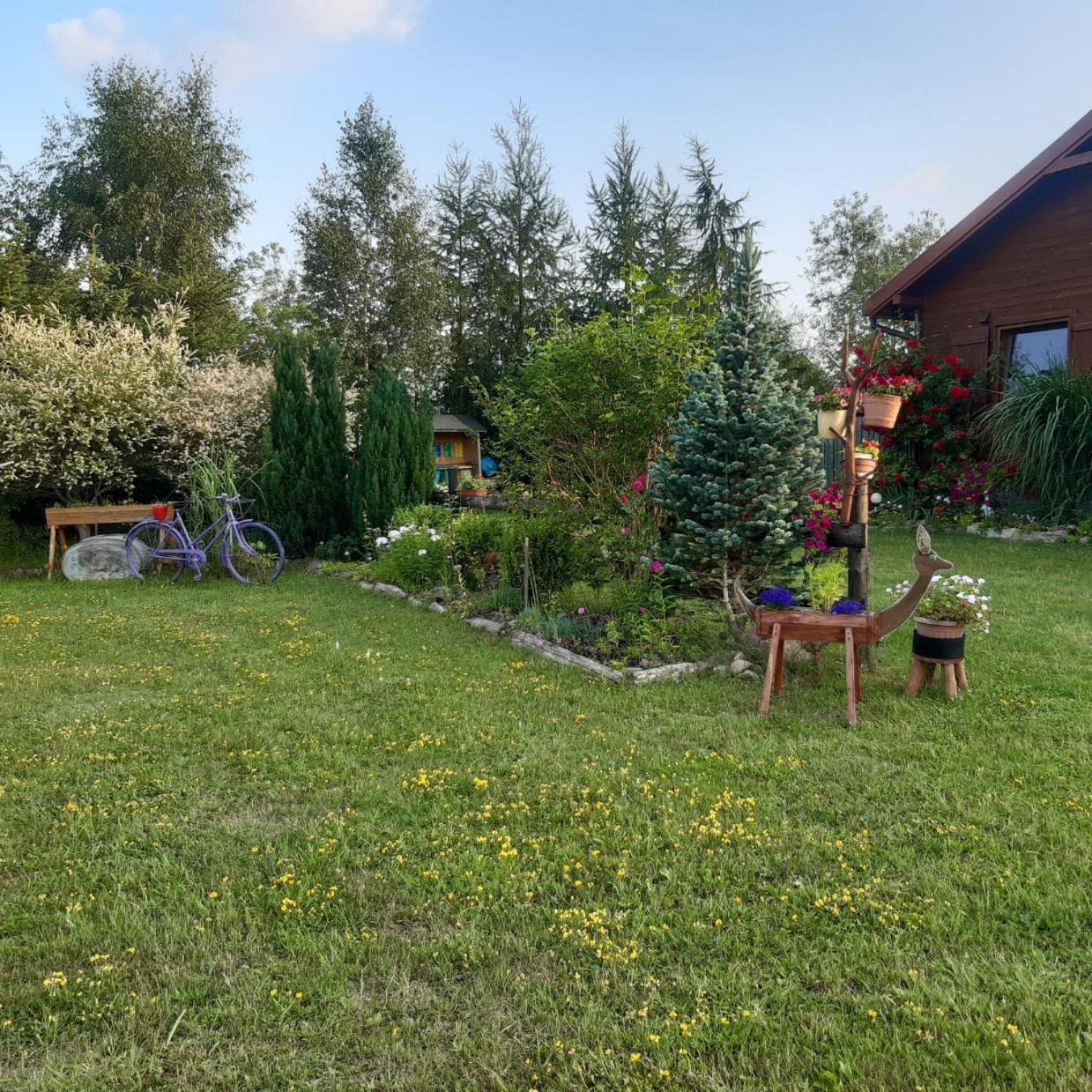 Domek W Kwiatach Zyndaki Exterior foto